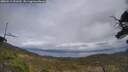 ./images/calvert/fitz-hugh-hecate/20250513/fitz-hugh-hecate20250513_151010M.jpg