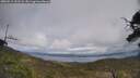 ./images/calvert/fitz-hugh-hecate/20250513/fitz-hugh-hecate20250513_151508M.jpg