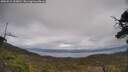 ./images/calvert/fitz-hugh-hecate/20250513/fitz-hugh-hecate20250513_153010M.jpg