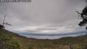 ./images/calvert/fitz-hugh-hecate/20250513/fitz-hugh-hecate20250513_153509M.jpg