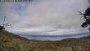 ./images/calvert/fitz-hugh-hecate/20250513/fitz-hugh-hecate20250513_154010M.jpg