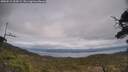 ./images/calvert/fitz-hugh-hecate/20250513/fitz-hugh-hecate20250513_154508M.jpg