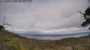 ./images/calvert/fitz-hugh-hecate/20250513/fitz-hugh-hecate20250513_155010M.jpg
