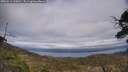 ./images/calvert/fitz-hugh-hecate/20250513/fitz-hugh-hecate20250513_160011M.jpg