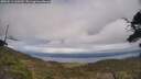 ./images/calvert/fitz-hugh-hecate/20250513/fitz-hugh-hecate20250513_160510M.jpg