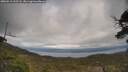 ./images/calvert/fitz-hugh-hecate/20250513/fitz-hugh-hecate20250513_162508M.jpg
