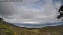 ./images/calvert/fitz-hugh-hecate/20250513/fitz-hugh-hecate20250513_163010M.jpg