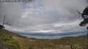 ./images/calvert/fitz-hugh-hecate/20250513/fitz-hugh-hecate20250513_163510M.jpg