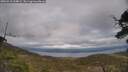./images/calvert/fitz-hugh-hecate/20250513/fitz-hugh-hecate20250513_164009M.jpg