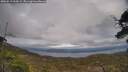 ./images/calvert/fitz-hugh-hecate/20250513/fitz-hugh-hecate20250513_164509M.jpg