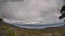 ./images/calvert/fitz-hugh-hecate/20250513/fitz-hugh-hecate20250513_165010M.jpg
