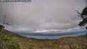 ./images/calvert/fitz-hugh-hecate/20250513/fitz-hugh-hecate20250513_165510M.jpg