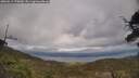 ./images/calvert/fitz-hugh-hecate/20250513/fitz-hugh-hecate20250513_170010M.jpg