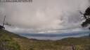 ./images/calvert/fitz-hugh-hecate/20250513/fitz-hugh-hecate20250513_170509M.jpg