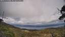./images/calvert/fitz-hugh-hecate/20250513/fitz-hugh-hecate20250513_171010M.jpg