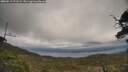 ./images/calvert/fitz-hugh-hecate/20250513/fitz-hugh-hecate20250513_171509M.jpg