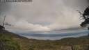 ./images/calvert/fitz-hugh-hecate/20250513/fitz-hugh-hecate20250513_172509M.jpg