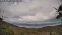 ./images/calvert/fitz-hugh-hecate/20250513/fitz-hugh-hecate20250513_173510M.jpg