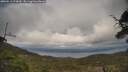 ./images/calvert/fitz-hugh-hecate/20250513/fitz-hugh-hecate20250513_174510M.jpg
