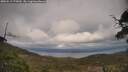 ./images/calvert/fitz-hugh-hecate/20250513/fitz-hugh-hecate20250513_175010M.jpg