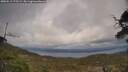 ./images/calvert/fitz-hugh-hecate/20250513/fitz-hugh-hecate20250513_175509M.jpg