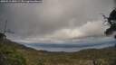 ./images/calvert/fitz-hugh-hecate/20250513/fitz-hugh-hecate20250513_180509M.jpg