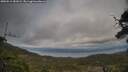 ./images/calvert/fitz-hugh-hecate/20250513/fitz-hugh-hecate20250513_181009M.jpg