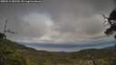 ./images/calvert/fitz-hugh-hecate/20250513/fitz-hugh-hecate20250513_181510M.jpg