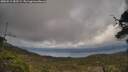 ./images/calvert/fitz-hugh-hecate/20250513/fitz-hugh-hecate20250513_182509M.jpg