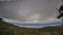 ./images/calvert/fitz-hugh-hecate/20250513/fitz-hugh-hecate20250513_183010M.jpg