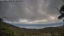 ./images/calvert/fitz-hugh-hecate/20250513/fitz-hugh-hecate20250513_183509M.jpg