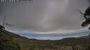 ./images/calvert/fitz-hugh-hecate/20250513/fitz-hugh-hecate20250513_184510M.jpg