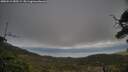 ./images/calvert/fitz-hugh-hecate/20250513/fitz-hugh-hecate20250513_185509M.jpg