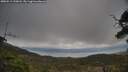 ./images/calvert/fitz-hugh-hecate/20250513/fitz-hugh-hecate20250513_190008M.jpg