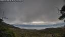 ./images/calvert/fitz-hugh-hecate/20250513/fitz-hugh-hecate20250513_190508M.jpg