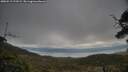 ./images/calvert/fitz-hugh-hecate/20250513/fitz-hugh-hecate20250513_191009M.jpg