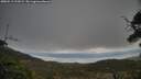 ./images/calvert/fitz-hugh-hecate/20250513/fitz-hugh-hecate20250513_192008M.jpg