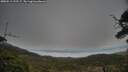 ./images/calvert/fitz-hugh-hecate/20250513/fitz-hugh-hecate20250513_192507M.jpg