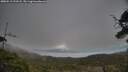 ./images/calvert/fitz-hugh-hecate/20250513/fitz-hugh-hecate20250513_193507M.jpg