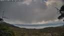 ./images/calvert/fitz-hugh-hecate/20250513/fitz-hugh-hecate20250513_194009M.jpg