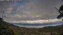 ./images/calvert/fitz-hugh-hecate/20250513/fitz-hugh-hecate20250513_195009M.jpg