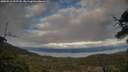 ./images/calvert/fitz-hugh-hecate/20250513/fitz-hugh-hecate20250513_195508M.jpg