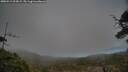 ./images/calvert/fitz-hugh-hecate/20250513/fitz-hugh-hecate20250513_202009M.jpg