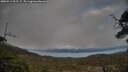 ./images/calvert/fitz-hugh-hecate/20250513/fitz-hugh-hecate20250513_202507M.jpg