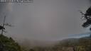 ./images/calvert/fitz-hugh-hecate/20250513/fitz-hugh-hecate20250513_203008M.jpg