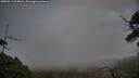 ./images/calvert/fitz-hugh-hecate/20250513/fitz-hugh-hecate20250513_204007M.jpg