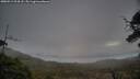 ./images/calvert/fitz-hugh-hecate/20250513/fitz-hugh-hecate20250513_204508M.jpg