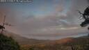 ./images/calvert/fitz-hugh-hecate/20250513/fitz-hugh-hecate20250513_210006M.jpg