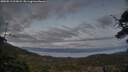 ./images/calvert/fitz-hugh-hecate/20250513/fitz-hugh-hecate20250513_213009M.jpg
