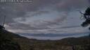 ./images/calvert/fitz-hugh-hecate/20250513/fitz-hugh-hecate20250513_214008M.jpg